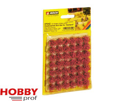 Grass Tufts XL "Blooming"