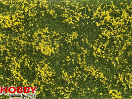 Ground Cover Foliage ~ Meadow Yellow 12x18cm