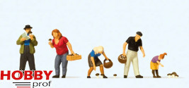 Mushroom Picking
