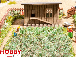Vegetable Garden Set