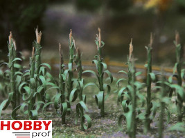 Corn Stalks (30pcs)