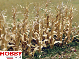 Dried Corn Stalks (30pcs ca. 2.5cm)