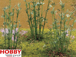 Bamboo 9cm-12cm (12pcs)