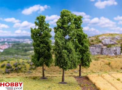 Poplars 13cm (3pcs)