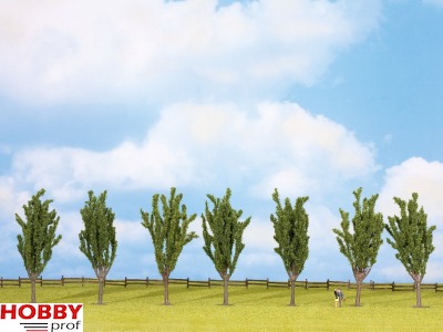 Poplars (7pcs) ~ 12cm