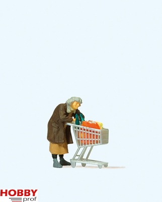 Homeless Woman with Trolley