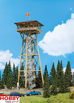 Observation tower "Riesenbühl"