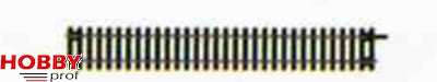 Standard Track ~ Straight Track 222mm