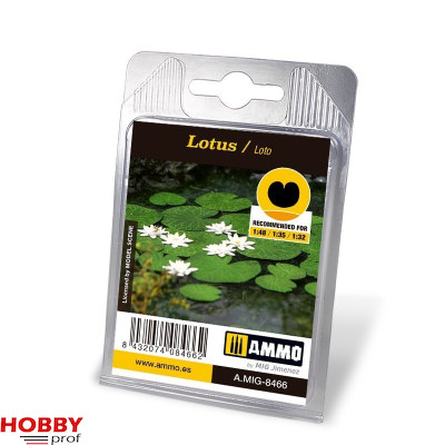 Lotus
